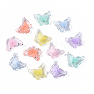Transparent Acrylic Beads TACR-S135-011-1
