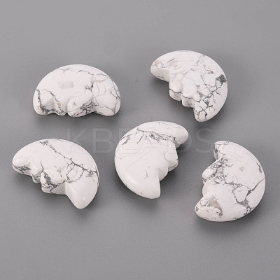 Natural Howlite Beads G-T132-028-1