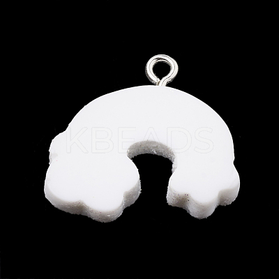 Resin Pendants CRES-S304-82-1