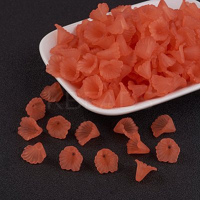 Transparent Acrylic Beads PL622-C12-1