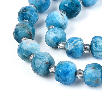 Natural Apatite Beads Strands G-N327-08A-07-1