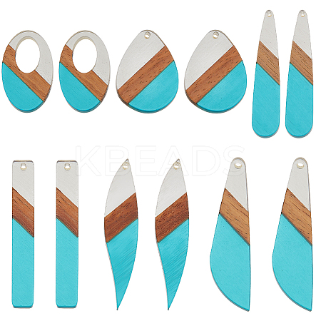 12Pcs 6 Styles Transparent Resin & Walnut Wood Big Pendants RESI-HY0001-16-1