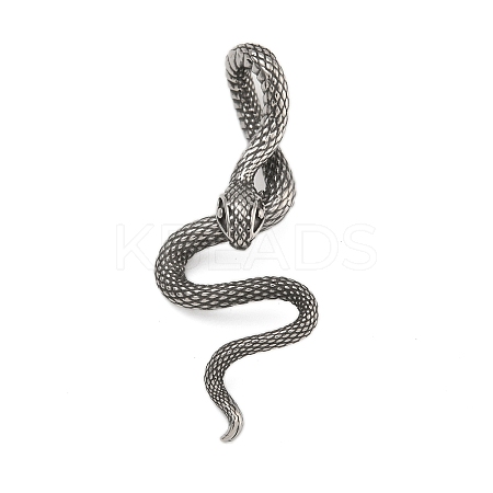 316 Surgical Stainless Steel Big Pendants STAS-Z073-123AS-1