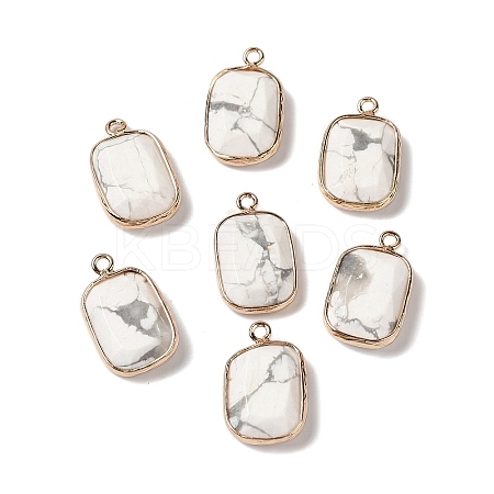 Natural Howlite Faceted Pendants G-Q169-06G-01-1