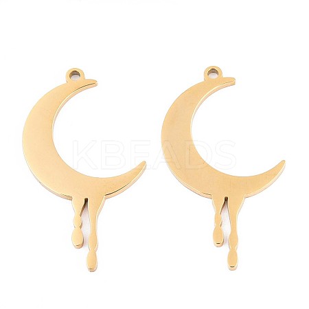 304 Stainless Steel Pendants STAS-N108-42G-1