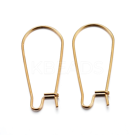 304 Stainless Steel Hoop Earring Findings LS-STAS-P223-01G-01-1