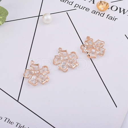 Alloy Rhinestone Pendants PALLOY-TAC0012-61-1