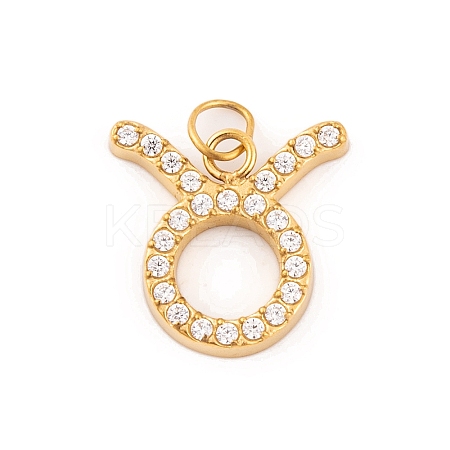 316 Stainless Steel Micro Pave Cubic Zirconia Pendants STAS-K284-01C-G-1