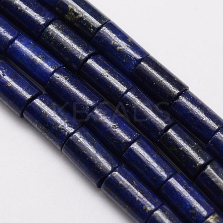 Natural Lapis Lazuli Column Bead Strands X-G-M264-14-1