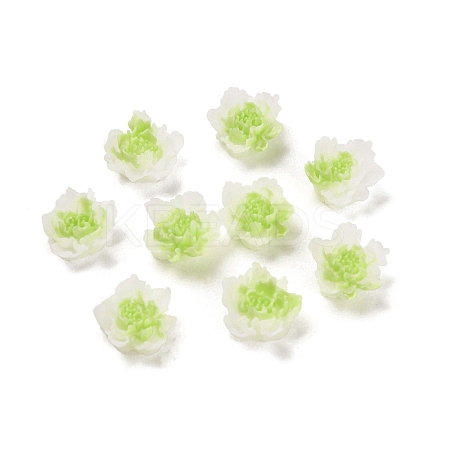 Luminous Resin Decoden Cabochons LS-RESI-K036-06F-02-1