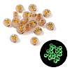 Luminous Transparent Acrylic Beads OACR-P037-01B-X-1