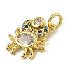 Marine Theme Rack Plating Brass Micro Pave Cubic Zirconia Pendants X-KK-I718-28G-01-2