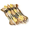 22 Bundles 22 Colors Autumn Themed Polyester Embroidery Floss OCOR-TA0002-80-2