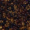 Transparent Colours Glass Seed Beads SEED-P006-02A-10-3