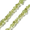 Natural Peridot Beads Strands X-G-E607-A06-1