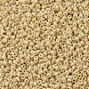 MIYUKI Round Rocailles Beads SEED-G007-RR0488-3