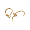 Ion Plating(IP) 304 Stainless Steel Leverback Earring Findings STAS-K233-04G-01A-2