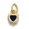 Brass Micro Pave Cubic Zirconia Charms LS-X-KK-P192-08-G02-2