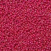 MIYUKI Round Rocailles Beads SEED-JP0008-RR0476-2