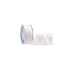 18M Iridescent Polyester Ribbon OCOR-WH0097-10B-7