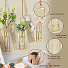 3Pcs 3 Styles Hanging Glass Hydroponic Vase DIY-OC0012-50G-4