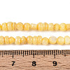 Natural Freshwater Shell Dyed Beads Strands SHEL-T020-29A-08-4