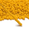 TOHO 6/0 Round Beads SEED-TR06-0042B-2