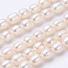 Natural Cultured Freshwater Pearl Beads Strands PEAR-P002-55-01-1