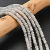 Natural Labradorite Beads Strands G-L635-A05-4x2mm-1