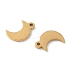 304 Stainless Steel Charms STAS-K306-17B-G-2
