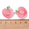 Fruit Theme Opaque Resin Imitation Food Pendants RE-CBA49A8-04H-3