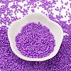 Baking Paint Glass Seed Beads SEED-S042-05B-72-2