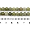 Natural TaiWan Jade Beads Strands G-K310-A23-6mm-01-5