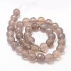 Natural Grey Agate Bead Strands G-K155-D-10mm-F01-2