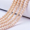 Electroplate Glass Beads Strands EGLA-A034-P1mm-B02-1