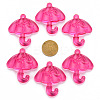 Transparent Acrylic Pendants TACR-T024-01B-906-3