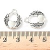 Tibetan Style Alloy Pendants FIND-B050-24AS-01-3
