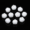 Handmade Lampwork Beads LAMP-T016-11M-1