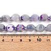 Natural Agate(Dyed) Beads Strands G-T141-05A-5