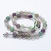 Natural Fluorite Beads Strands X-G-E484-01-2