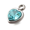 304 Stainless Steel with Rhinestone Pendants STAS-Q346-01P-03-3