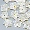 Natural White Shell Beads SSHEL-S260-018-1