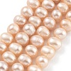 Natural Cultured Freshwater Pearl Beads Strands PEAR-C003-16D-2