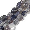 Natural Iolite Beads Strands G-P497-01A-13-1