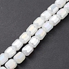 Imitation Jade Glass Beads Strands EGLA-K015-04D-2