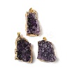 Raw Rough Natural Amethyst Pendants G-H084-10G-1