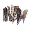 Spiral Shell Beads SSHEL-S258-34-1