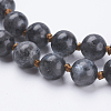 Natural Larvikite Beaded Necklaces NJEW-P202-36-A20-2
