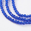 Glass Beads Strands EGLA-E057-02B-06-3