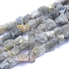 Raw Rough Natural Labradorite Beads Strands G-I279-B07-1